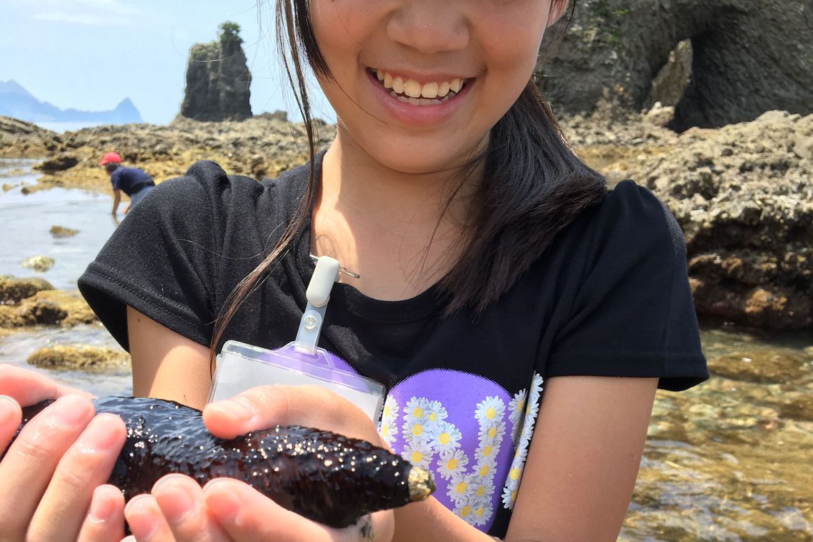 西伊豆　トンボロ渡りと潮だまり自然観察会