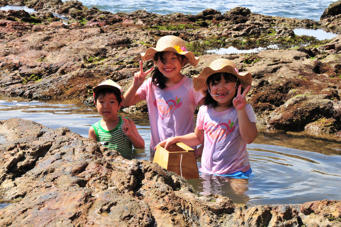 西伊豆　トンボロ渡りと潮だまり自然観察会