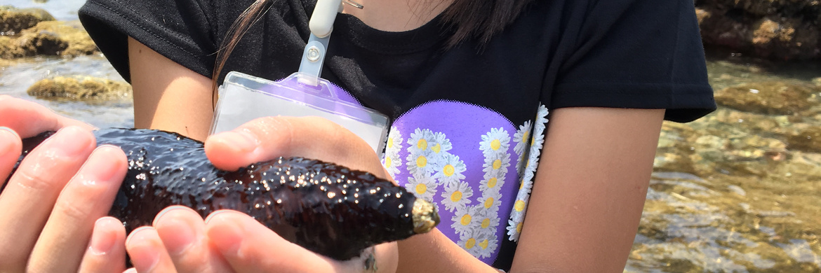 西伊豆シーカヤック　安心して楽しめます