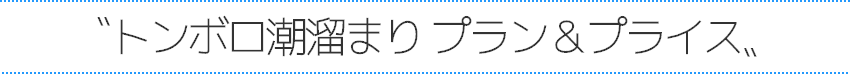 伊豆自然学校体験プラン＆プライス