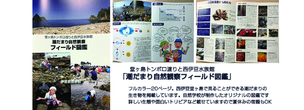 プレゼント（トンボロセット）