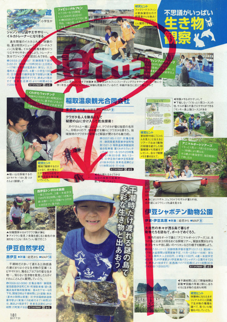 伊豆自然学校　掲載雑誌