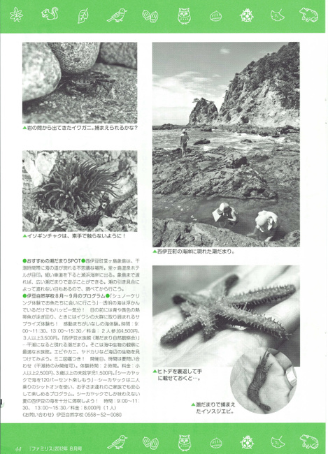 伊豆自然学校　掲載雑誌