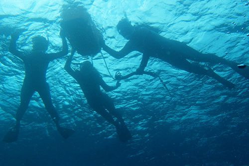 西伊豆ならではのシュノーケリング体験です