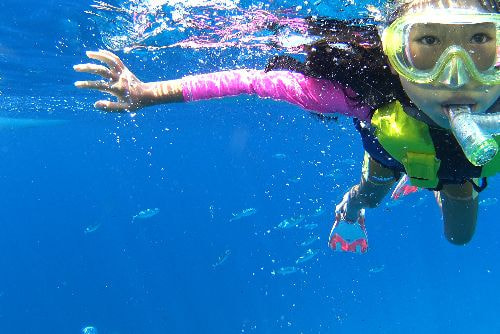 西伊豆ならではのシュノーケリング体験です