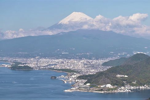 西伊豆の山稜線はアセビが見事