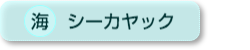 海｜シーカヤック