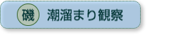 磯｜潮溜まり観察