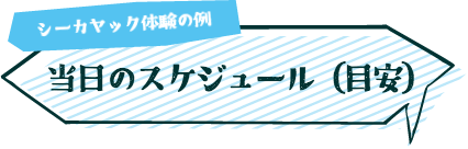 当日のスケジュール（目安）