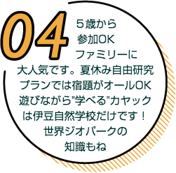 ５歳から参加OK。ファミリーに大人気です。夏休み自由研究プランでは宿題がオールOK。遊びながら"学べる"カヤックは伊豆自然学校だけです！世界ジオパークの知識も。