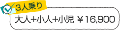 ３人乗り／大人＋小人２人￥16,900　伊豆自然学校シーカヤック体験