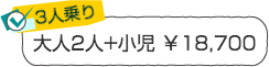 ３人乗り／大人２人＋小児￥18,700　伊豆自然学校シーカヤック体験