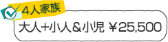 4人家族／子どもが１人で小児ならはシングル艇は大人が乗れば　￥25,500　伊豆自然学校シーカヤック体験