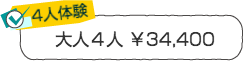 友人4人／大人が４人なら　￥34,400　伊豆自然学校シーカヤック体験