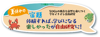 夏休み特別プラン