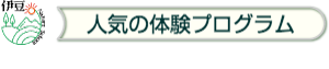 伊豆自然学校|人気の体験プログラム