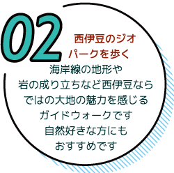 漁港の砂浜から簡単らくらくエントリーできます。漁港公認カヤックスクール。一番歴史あるカヤック体験です。休憩時間には泳いでもシュノーケリングもできますよ。