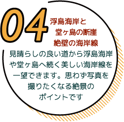 ５歳から参加OK。ファミリーに大人気です。夏休み自由研究プランでは宿題がオールOK。遊びながら"学べる"カヤックは伊豆自然学校だけです！世界ジオパークの知識も。