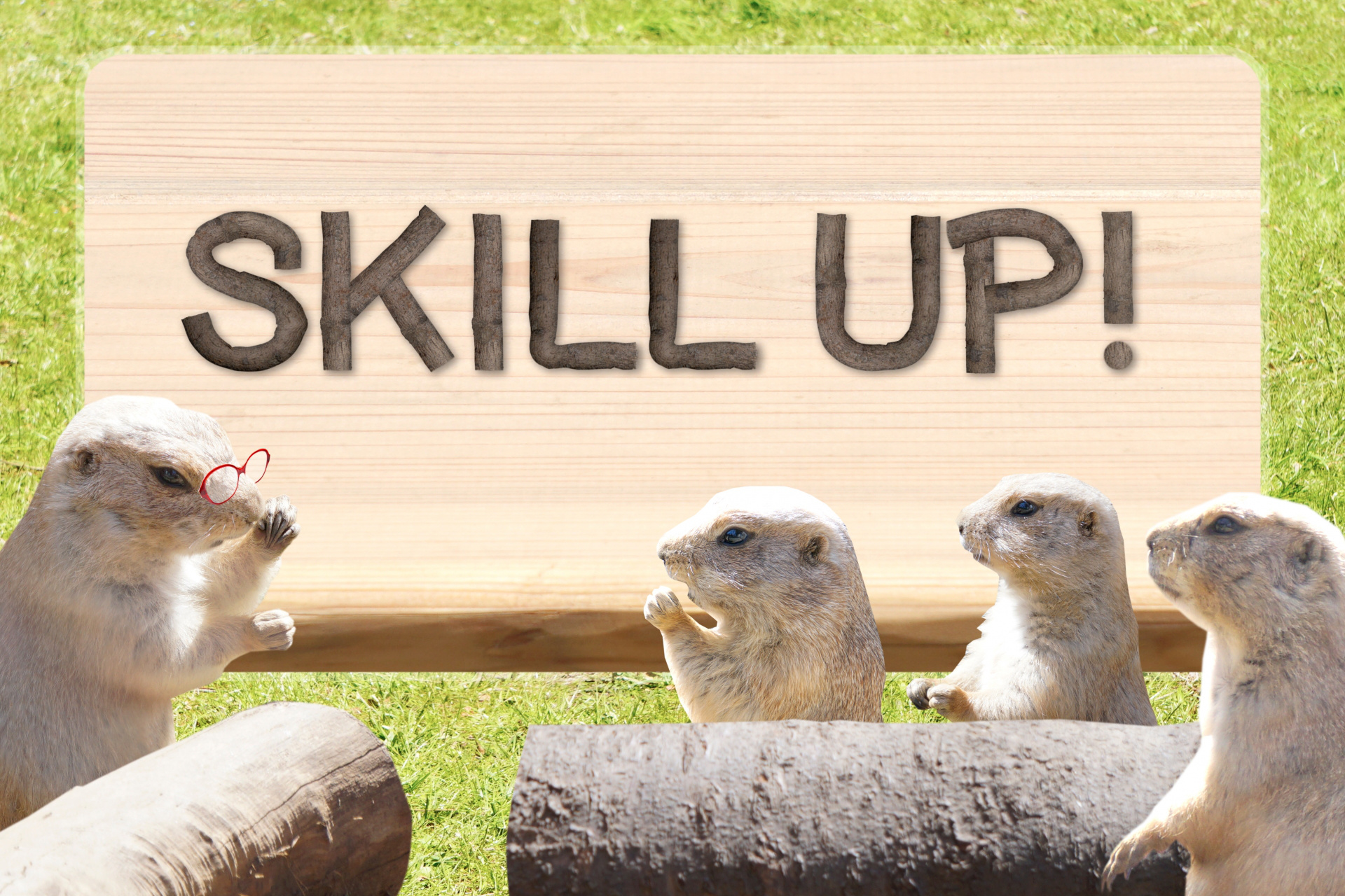 地域エキスパートガイドを目指そう