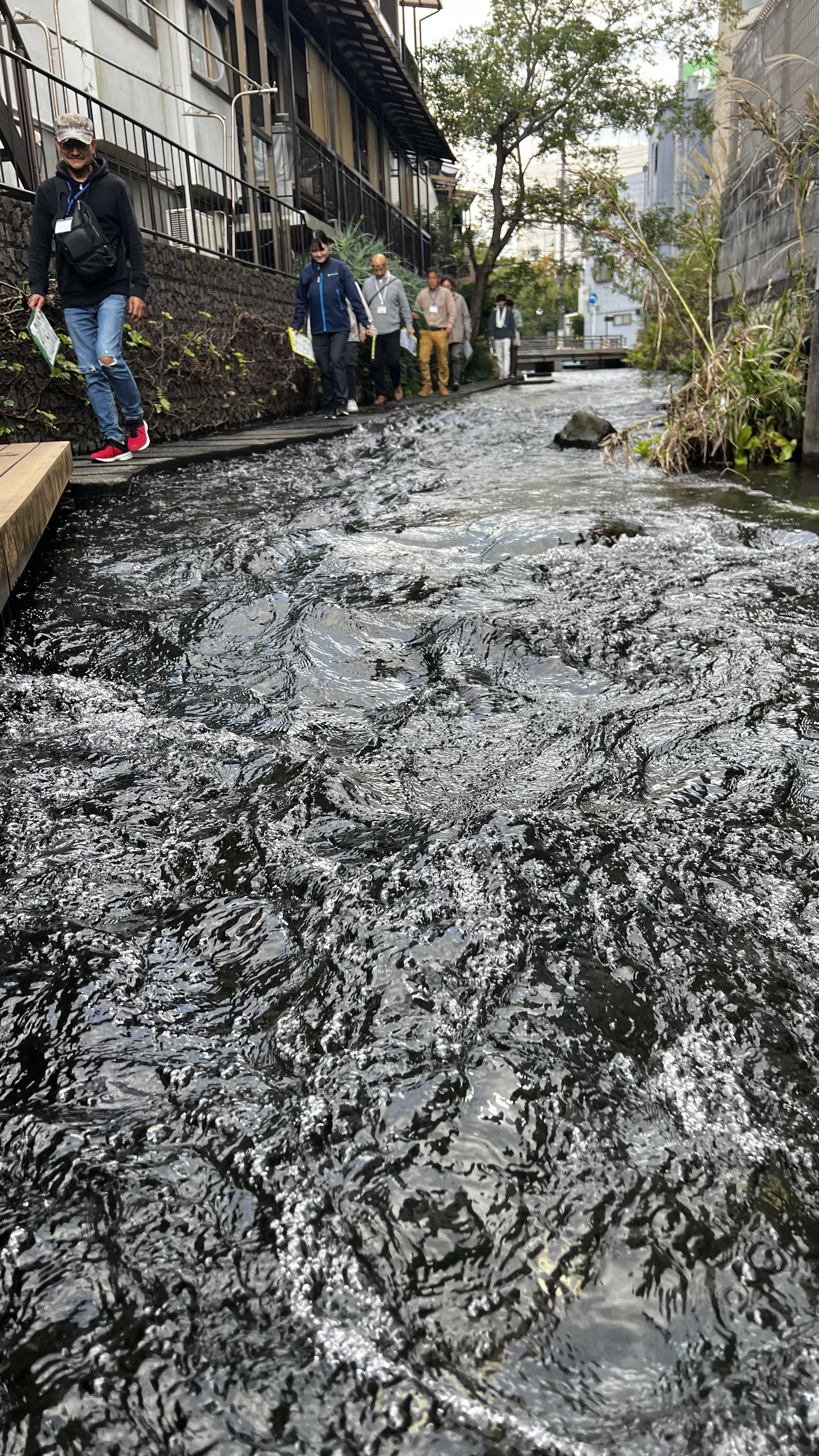 源兵衛川でのフィールドワーク（まち歩き実習）